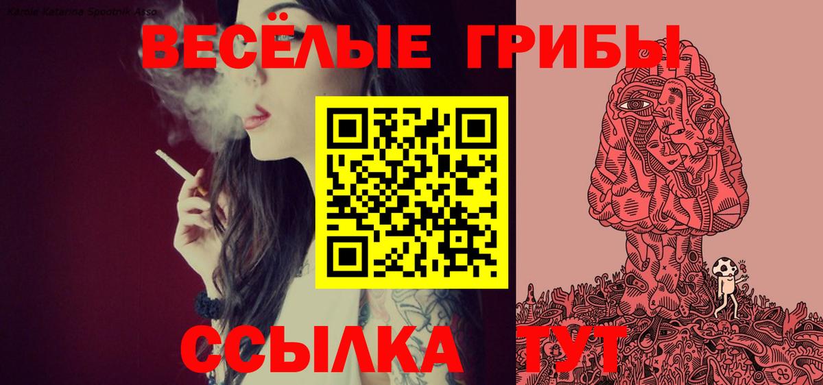 Псилоцибиновые грибы ЛСД  Вход с VPN  Сибай 