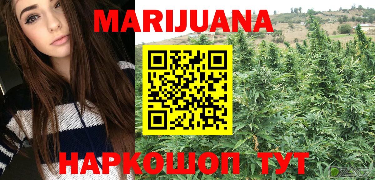 Бошки Шишки Bruce Banner  Бошки Шишки гибрид  Канабис план  Сибай  Вход с VPN  Марихуана SATIVA & INDICA 